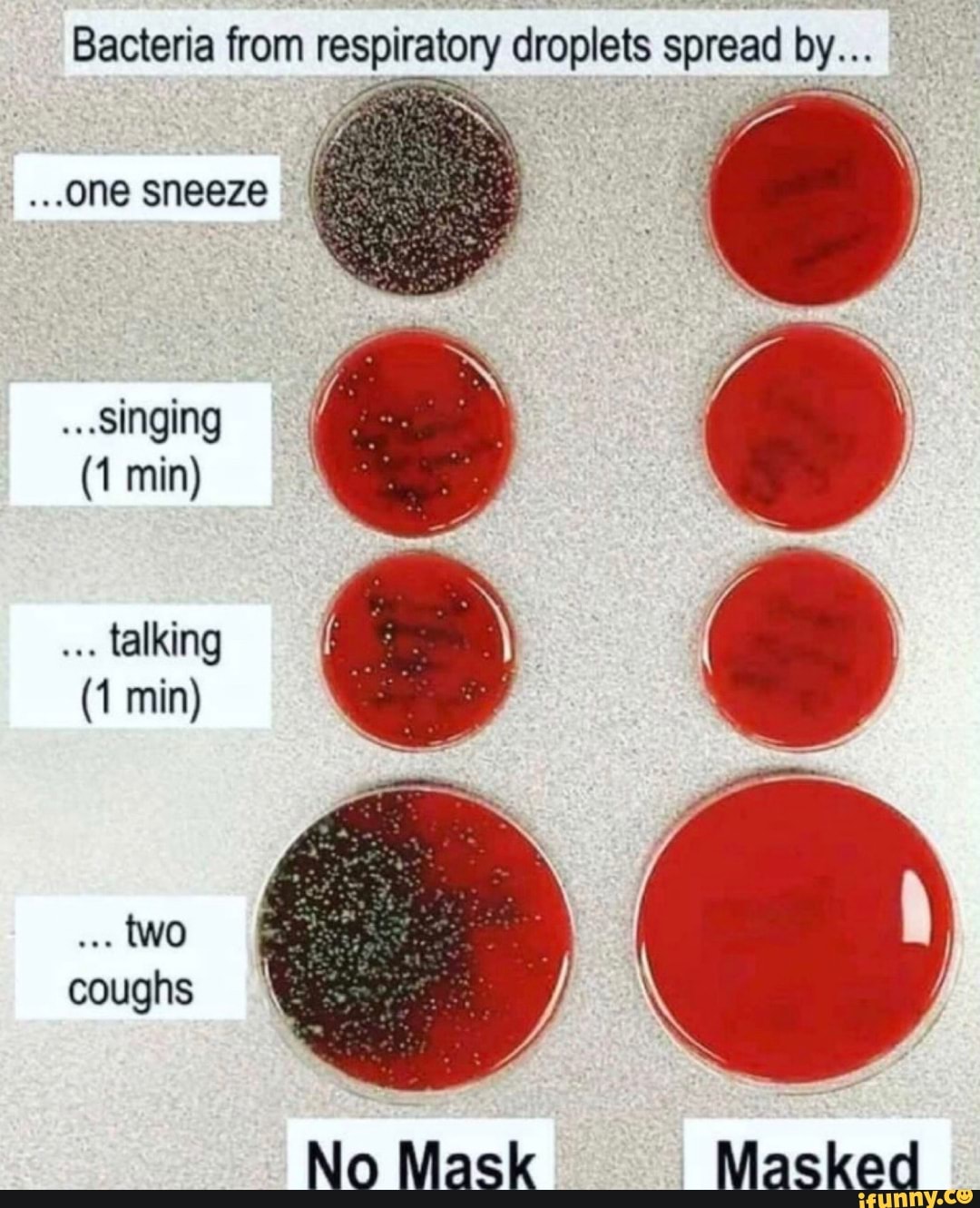 ...one sneeze
Bacteria from respiratory TS spread by...
...Singing
talking