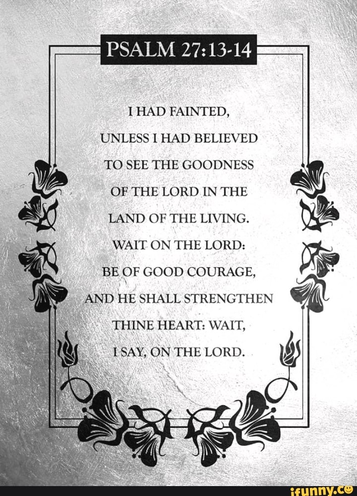 PSALM HAD FAINTED, UNLESS I HAD BELIEVED TO SEE THE GOODNESS OF THE ...