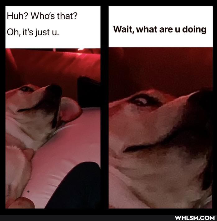 Huh? Who's that?
Oh, it's just u. Wait, what are u doing