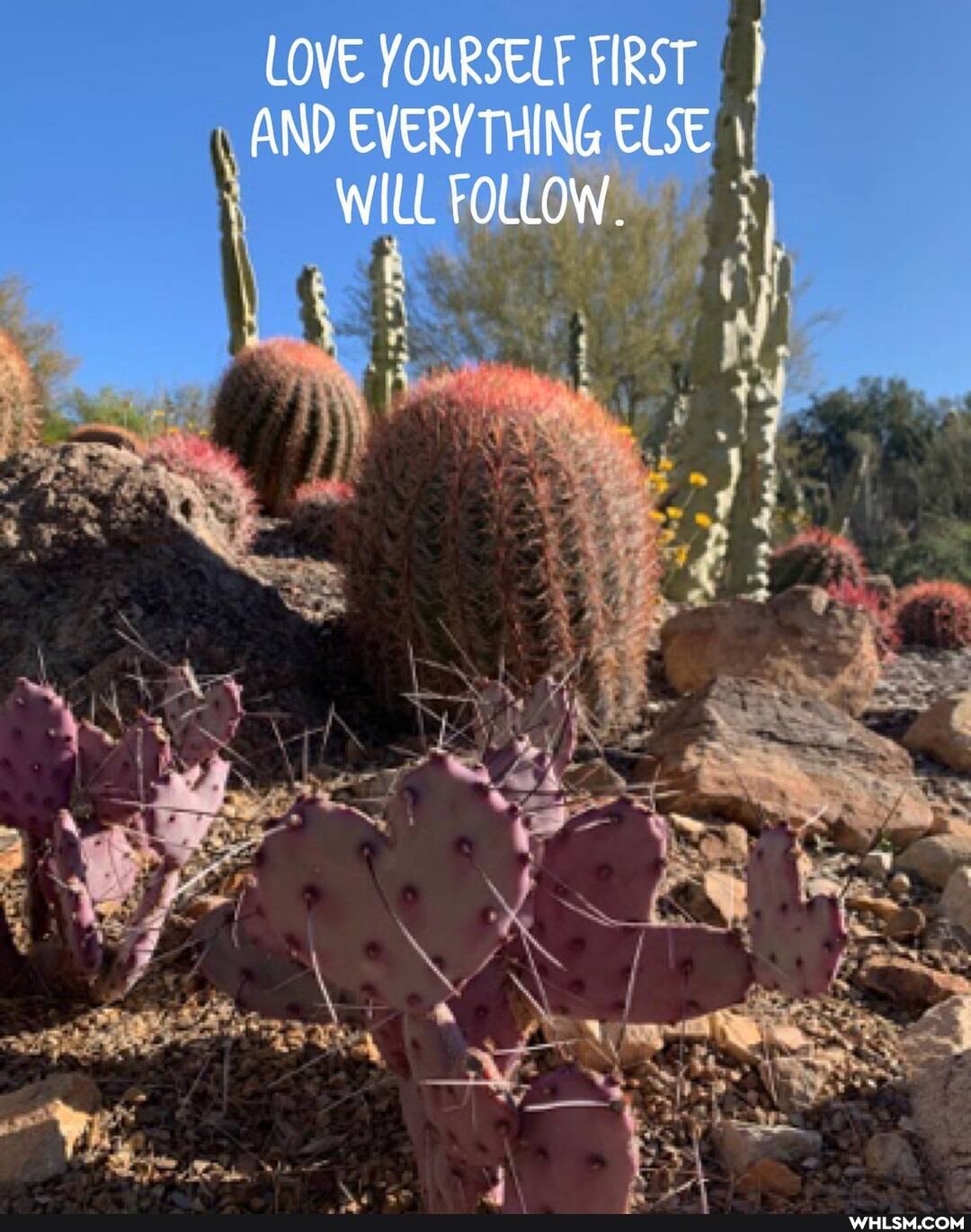LOVE YOURSELF FIRST AND EVERYTHING ELSE WILL FOLLOW.
