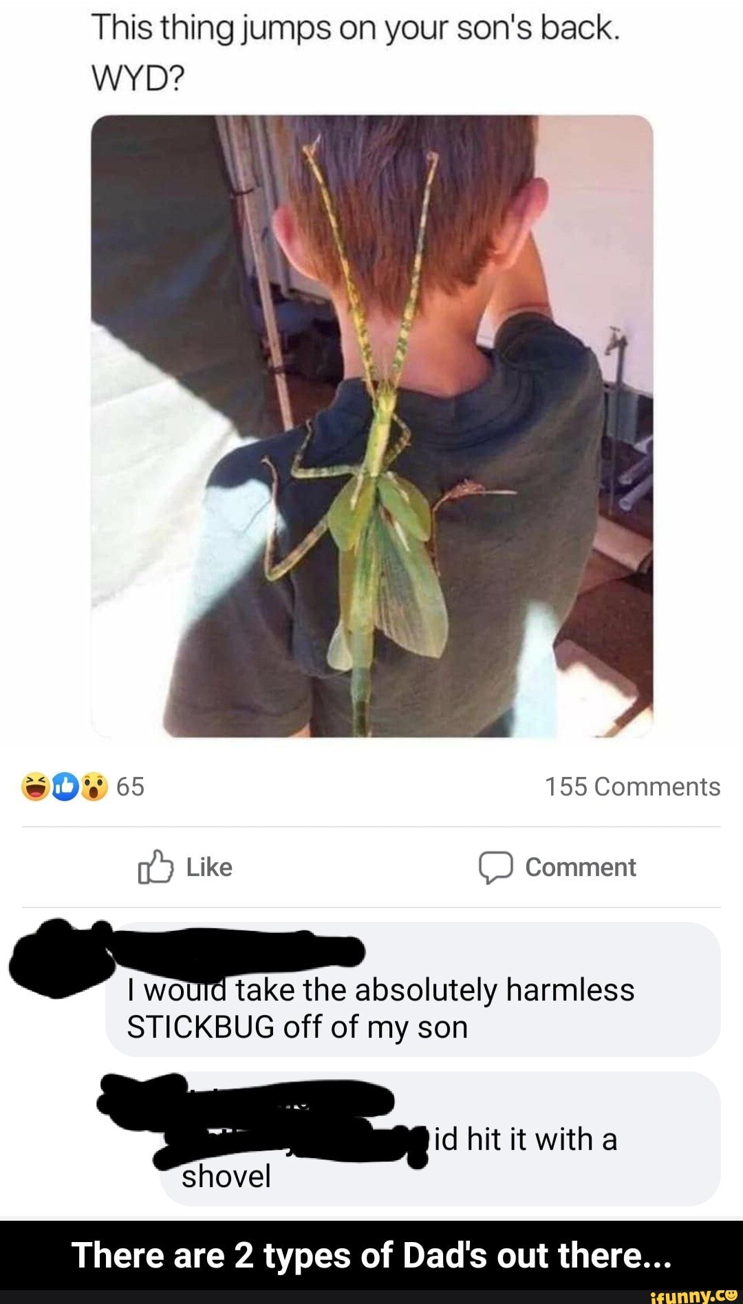 This thing jumps on your son's back.
WYD?
o
I
take the absolutely harmless
STICKBUG off of my son
There are 2 types of Dad's out there... - There are 2 types of Dad's out there...