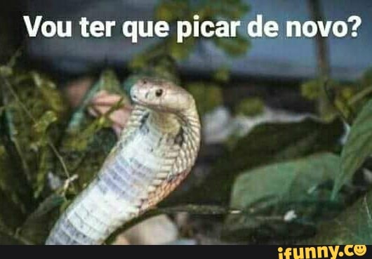 Vou ter que picar de novo?