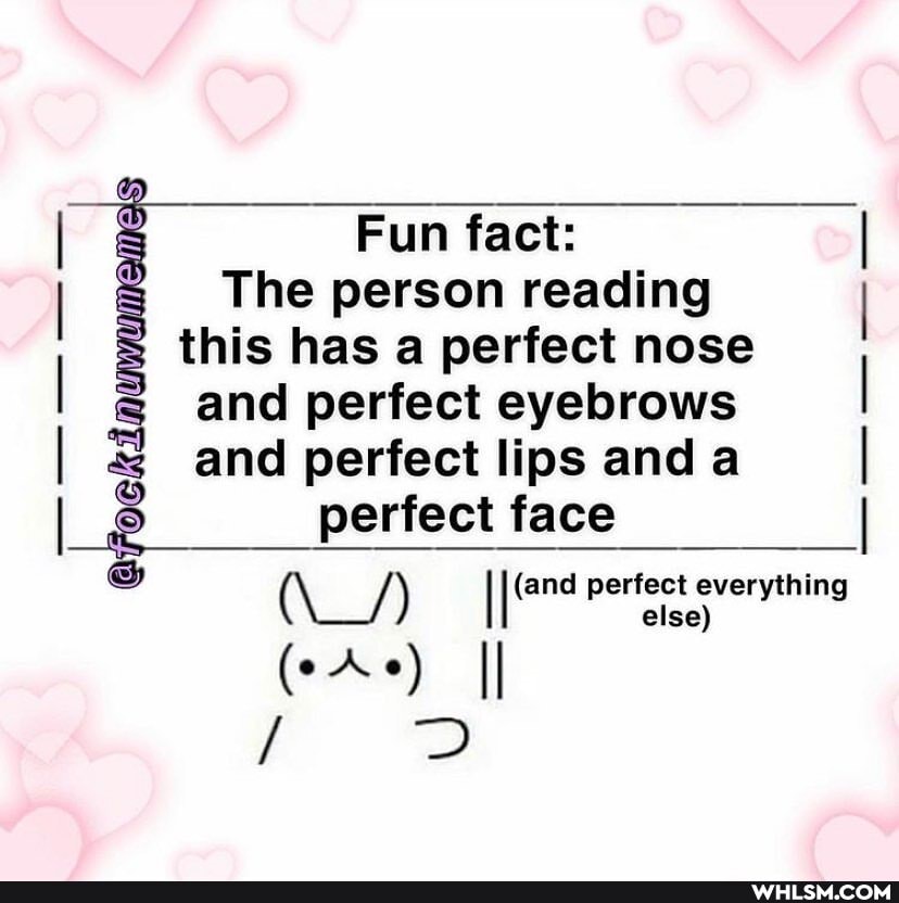 Fun fact:
The person reading this has a perfect nose and perfect eyebrows
I and perfect lips and a
I perfect face I
else
AS ) II
DD