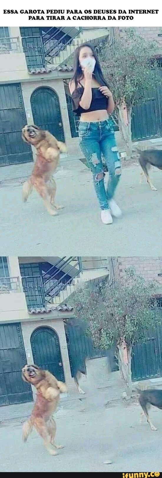 ESSA GAROTA PEDIU PARA OS DEUSES DA INTERNET
PARA TIRAR A CACHORRA DA FOTO