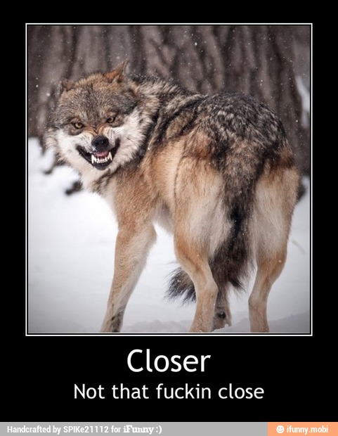 Closer
Not that fuckin close - Closer
Not that fuckin close