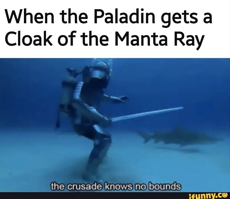 When The Paladin Gets A Cloak Of The Manta Ray The Crusade Knows