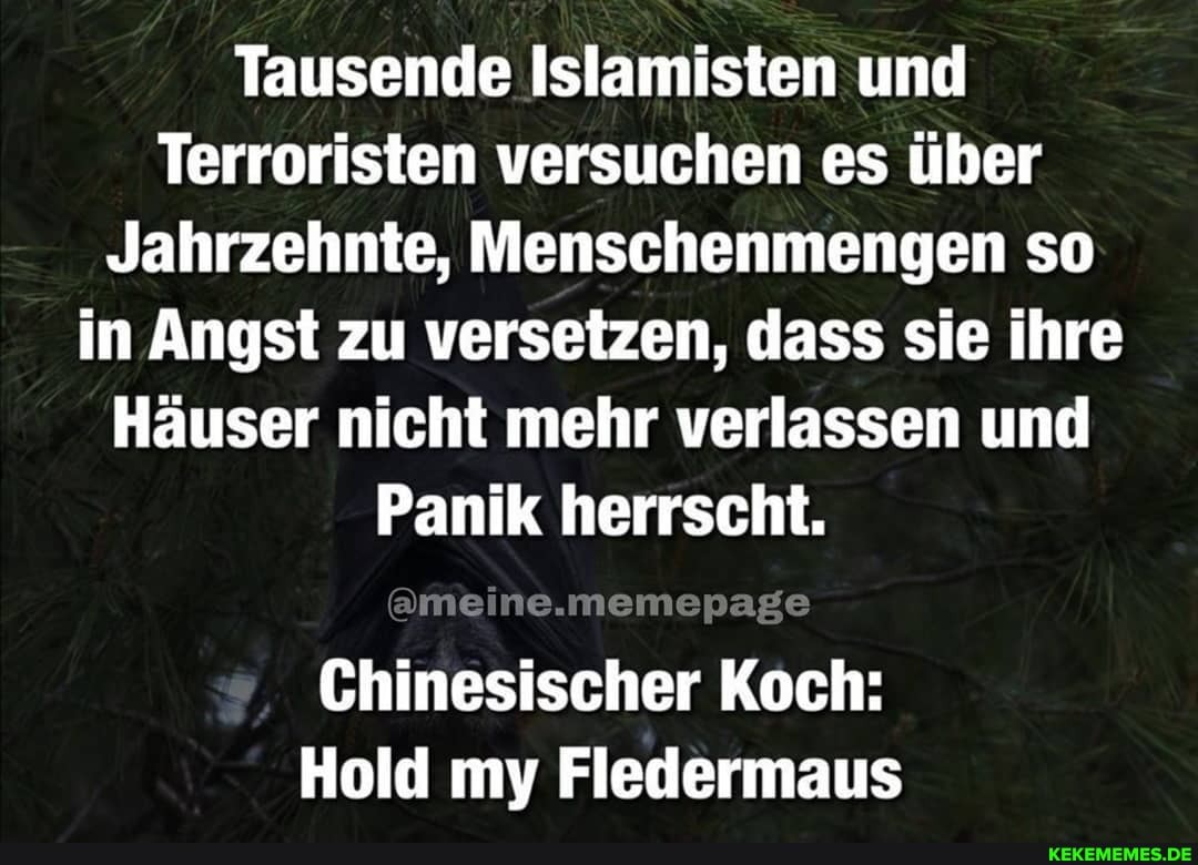Tausende Islamisten und
Terroristen versuchen es über
Jahrzehnte, Menschenmengen so in Angst zu versetzen, dass sie ihre
Häuser nicht mehr verlassen und
Panik herrscht.
Chinesischer Koch:
Hold my Fledermaus