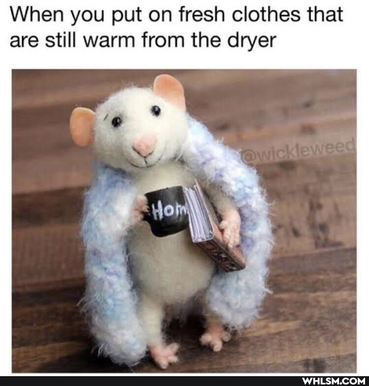 When you put on fresh clothes that are still warm from the dryer