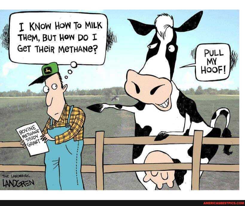 KNow HoW To MILK THeM, BUT HOW DOT GeT THeiR MeTHANe?