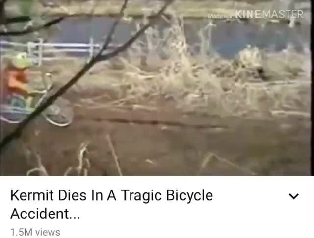 Kermit Dies In A Tragic Bicycle Accident... iFunny )