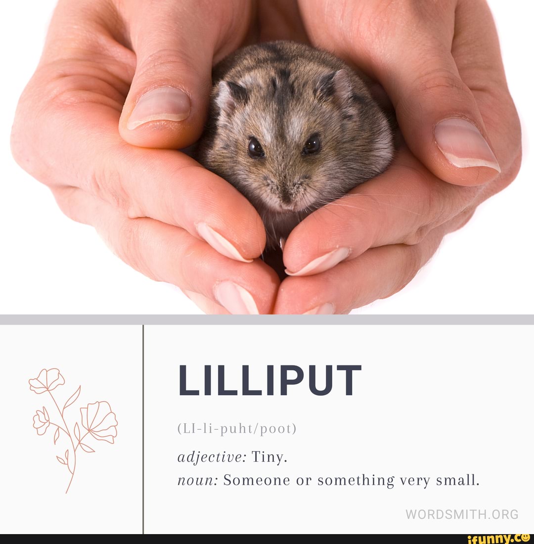 lilliput-adjective-tiny-noun-someone-or-something-very-small