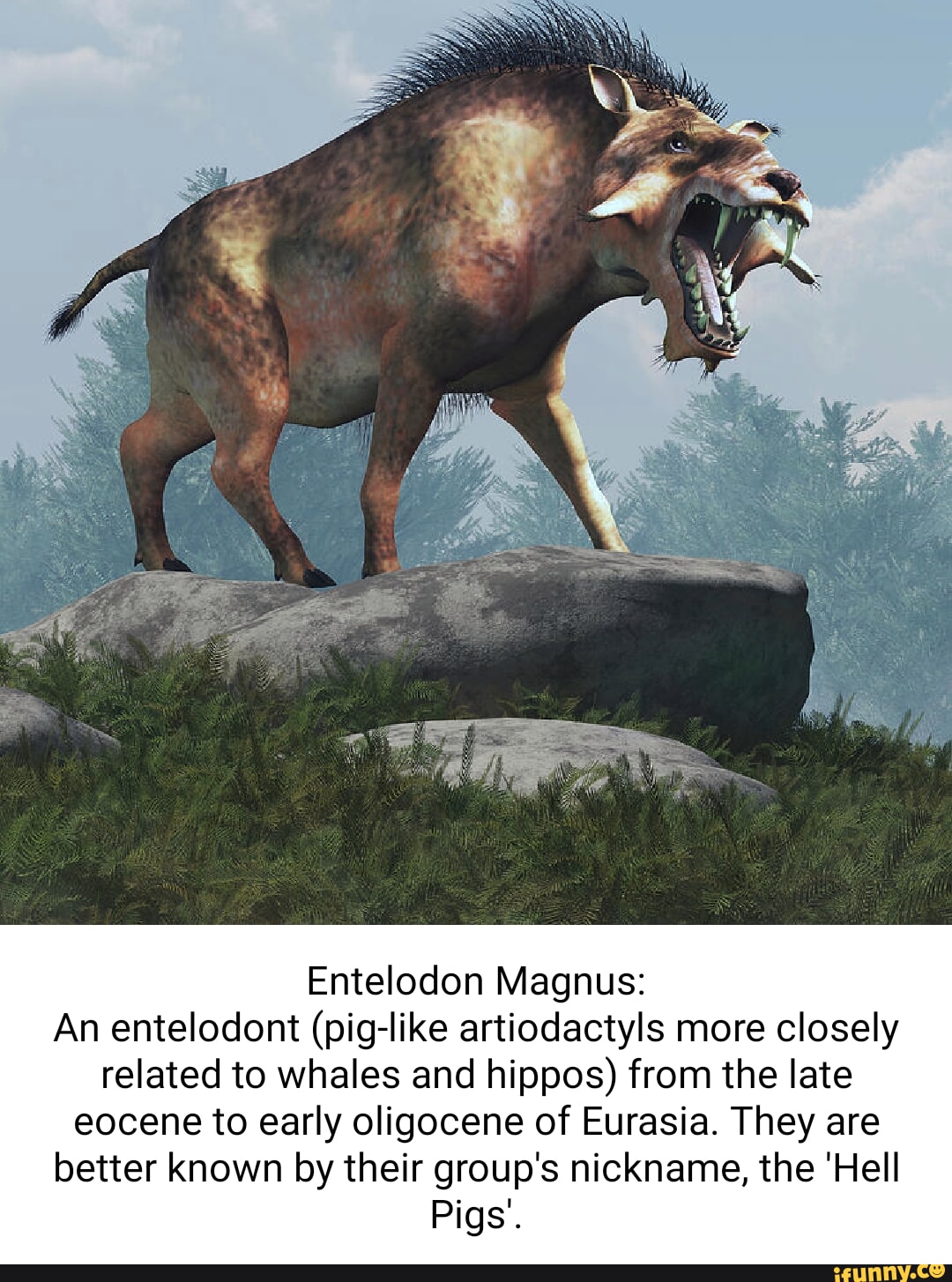 Eurasia memes. Best Collection of funny Eurasia pictures on iFunny