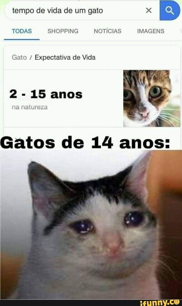 tempo de vida de um gato pad
BD
TODAS SHOPPING NOTICIAS IMAGENS.
Gato Expectativa de Vida
2-15
Gatos de 14 anos: