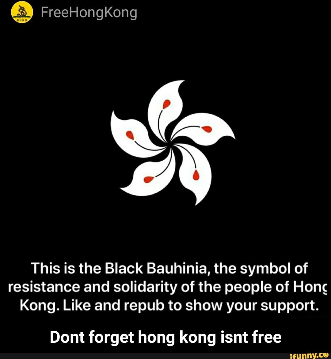 This is the Black Bauhinia, the symbol of
resistance and solidarity of the people of Honc
Kong. Like and repub to show your support. - Dont forget hong kong isnt free