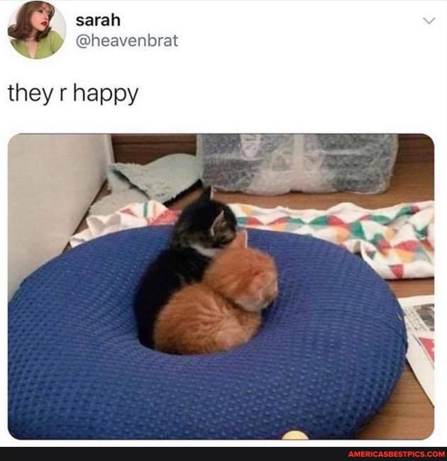 they r happy