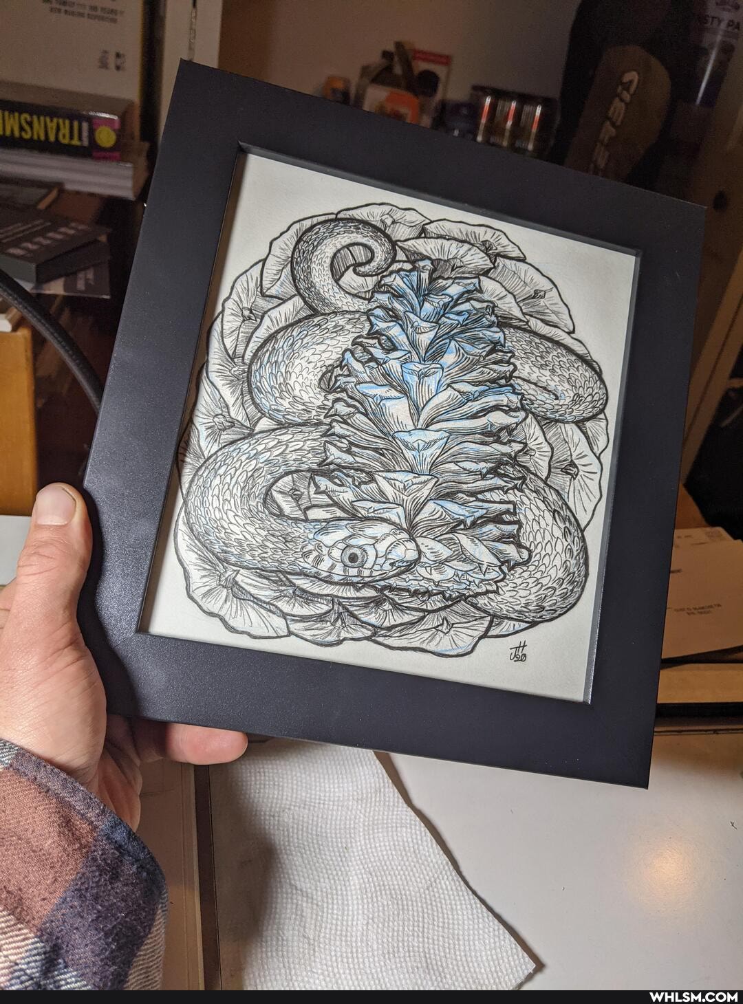 artcrawl, nature, art, drawings