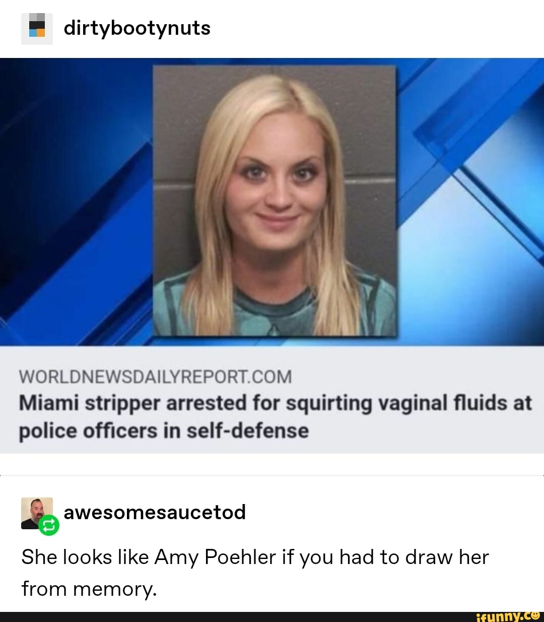 = dirtybootynuts WORLDNEWSDAILYREPORT.COM Miami stripper arrested for ...