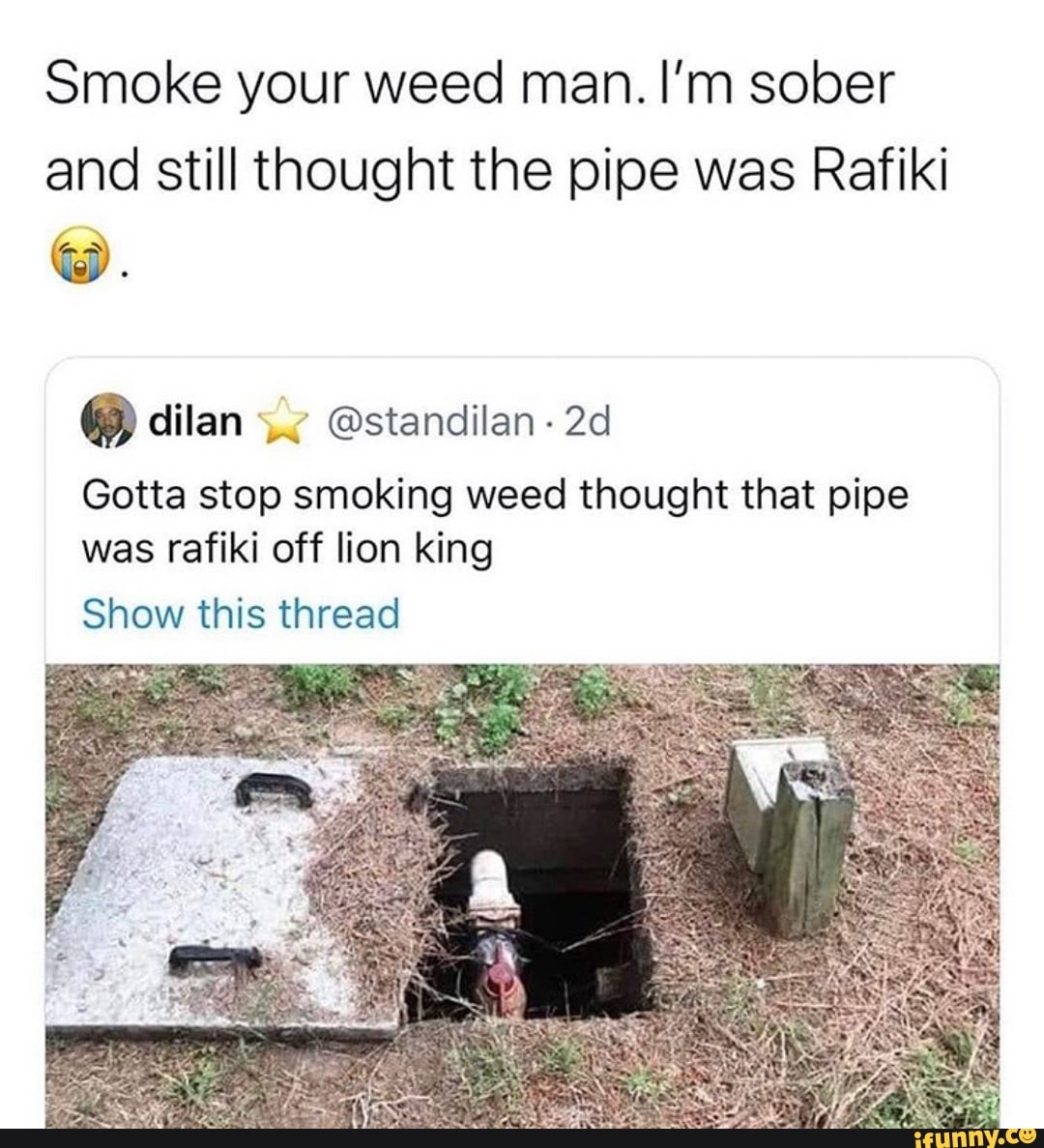 Smoke your weed man. I'm sober and still thought the pipe was Rafiki Gotta stop smoking weed ...