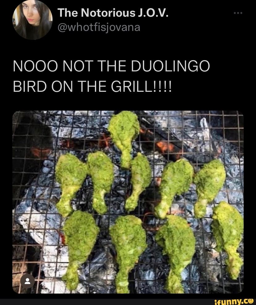 The Notorious J.0.V. whotfisjovana NOOO NOT THE DUOLINGO BIRD ON THE