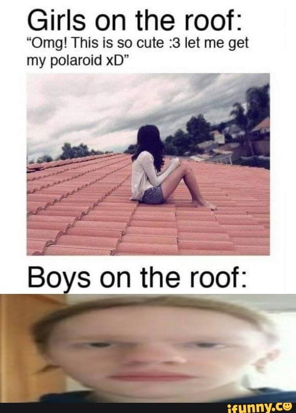 Girls on the roof: “0mg! This IS so cute :3 let me get my polaroid xD -  iFunny