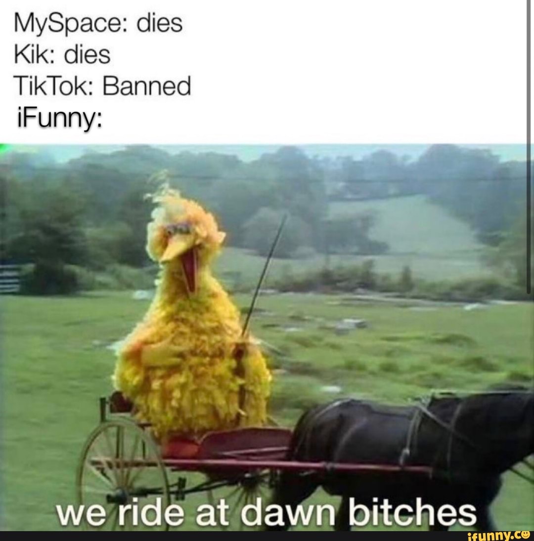 MySpace: dies
Kik: dies
TikTok: Banned
we ride at dawn bitches
