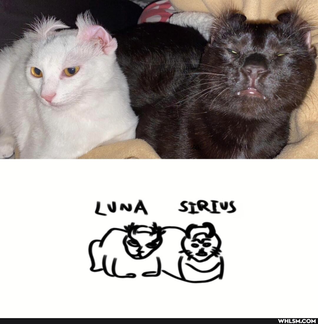 LUNA SIRIVS