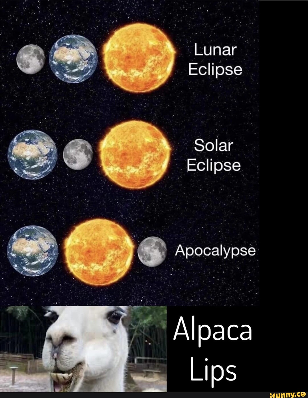 Lunar Eclipse Solar Eclipse Apocalypse Alpaca Lips iFunny