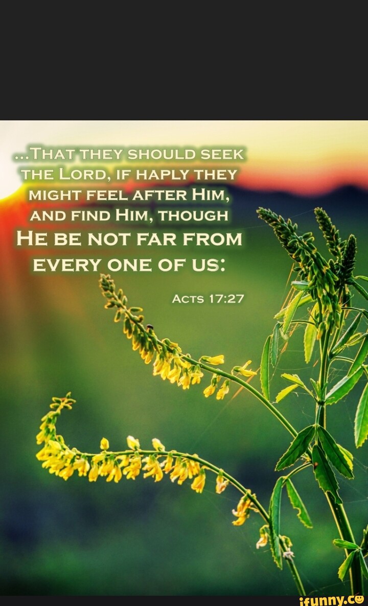 THAT THEY SHOULD SEEK THE LORD. IF HAPLY THEY MIGHT FEEL AFTER Him, AND ...