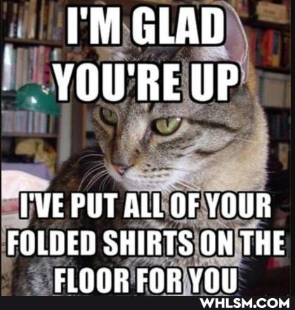 _ FMGLAD YOU'RE UP
'VE PUT ALL OF YOUR FOLDED SHIRTS ON THE
Cinnp CnD Vi
