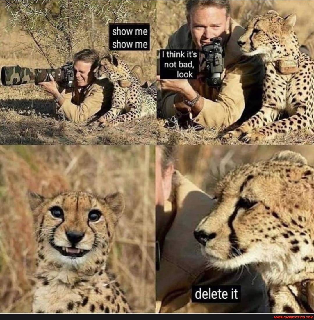 think it's
not bad,
look
delete it