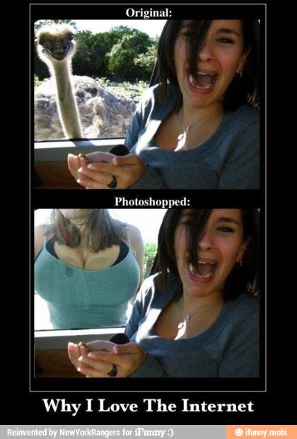 Why I Love The Internet