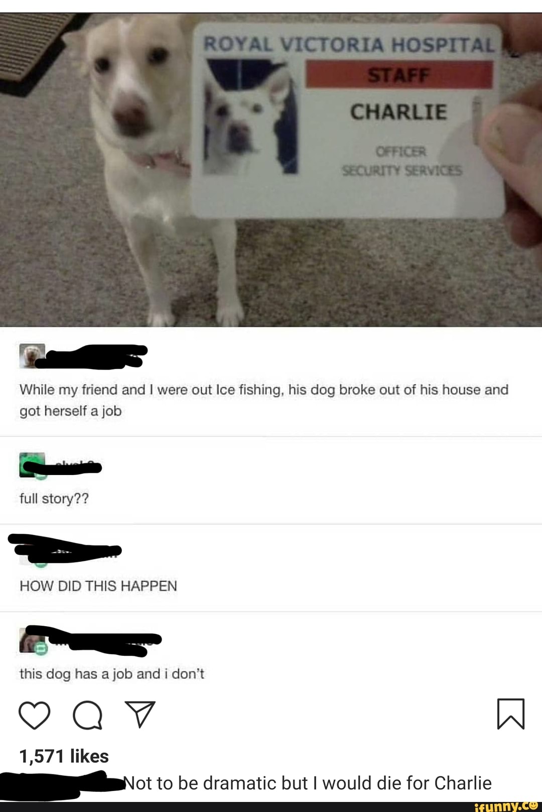 While my friend and I were out Ice fishing, his dog broke out of his house and got herself a job
full story??
HOW DID THIS HAPPEN
this dog has a job and i don't
1,571 likes
ot to be dramatic but I would die for Charlie