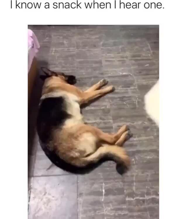 I Know a snack when I hear one.