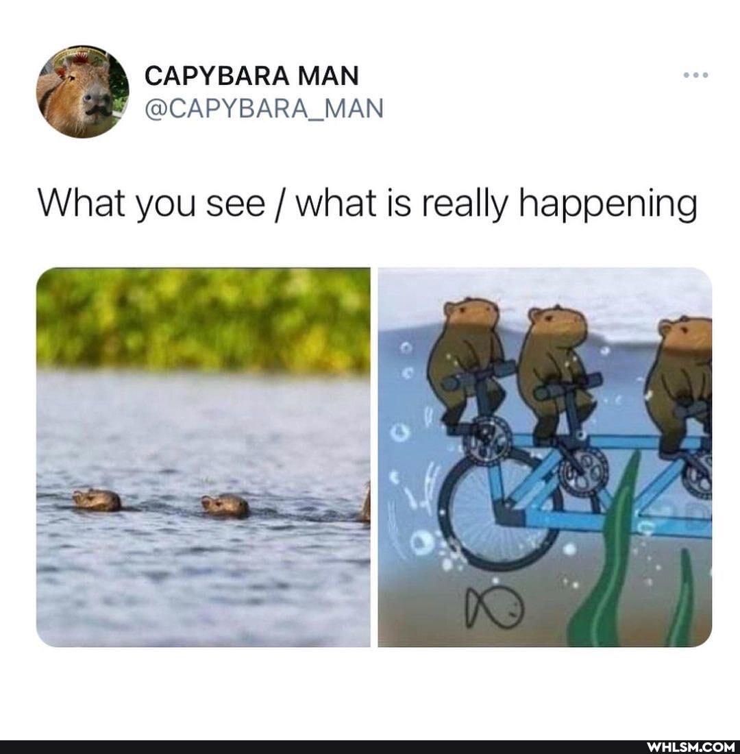 What you see / what is really happening
