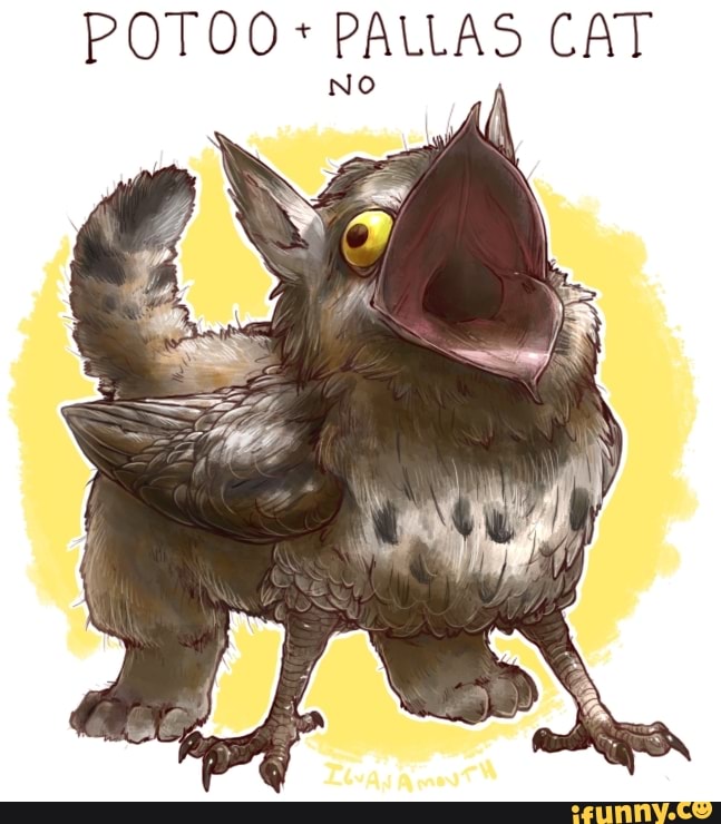 POTOO* PALLAS CAT No
CC