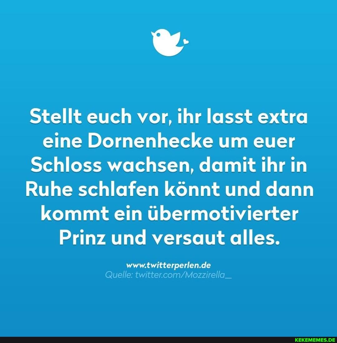 Stellt euch vor, ihr lasst extra eine Dornenhecke um euer
Schloss wachsen, damit ihr in
Ruhe schlafen könnt und dann kommt ein übermotivierter
Prinz und versaut alles.
de
Quelle: