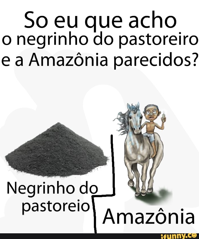 So eu que acho
o negrinho do pastoreiro
e a Amazônia parecidos?
Negrinho do
pastoreio
Amazonia