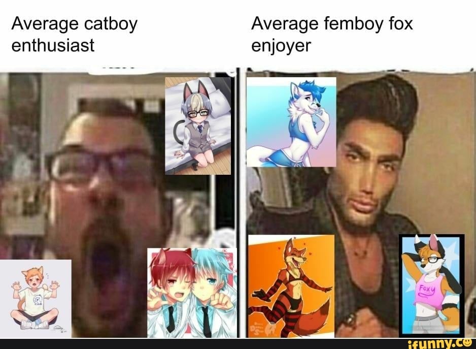 Average catboy Average femboy fox enthusiast - iFunny