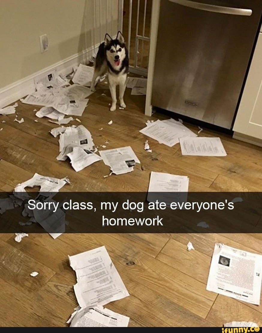«Собака съела мою домашнюю работу