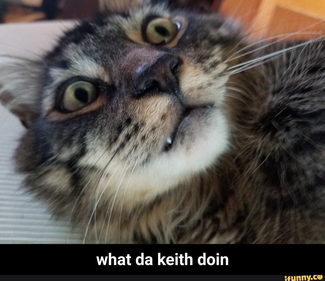 what da keith doin - what da keith doin