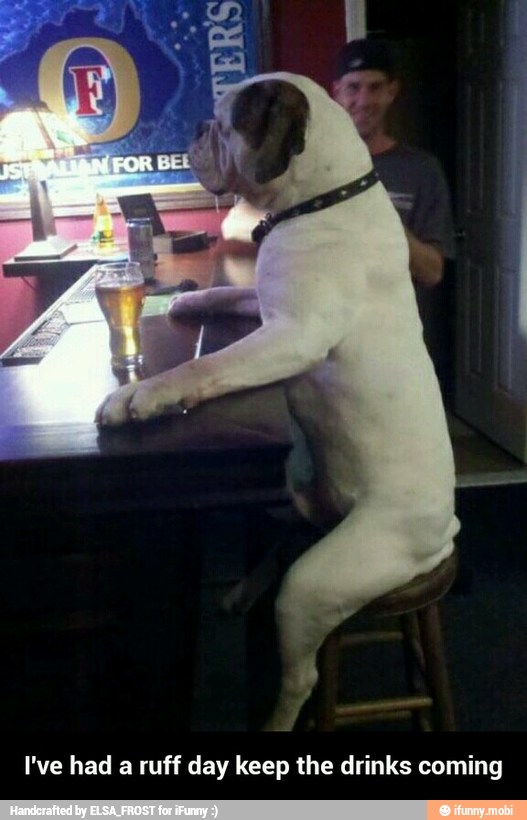 I've had a ruff day keep the drinks coming - I've had a ruff day keep the drinks coming