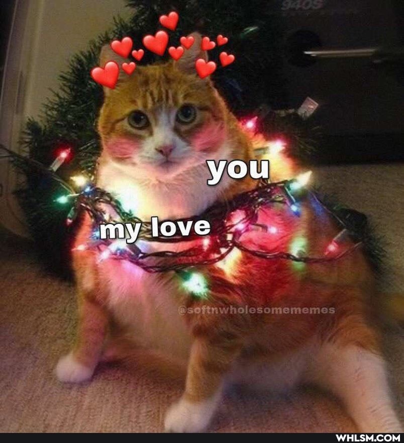 AD
you
my love