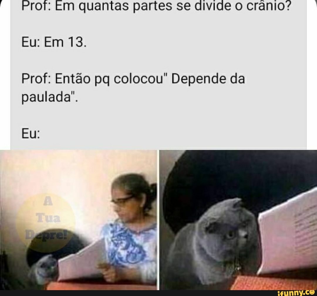 Prof: Em quantas partes se divide o crânio?
Eu: Em 13.
Prof: Então pq colocou" Depende da paulada".
Eu: