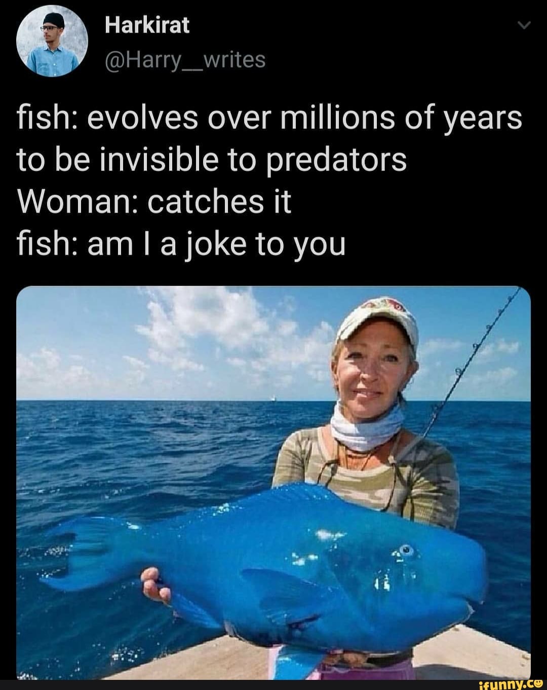 (Harry writes fish: evolves over millions of years to be invisible to ...