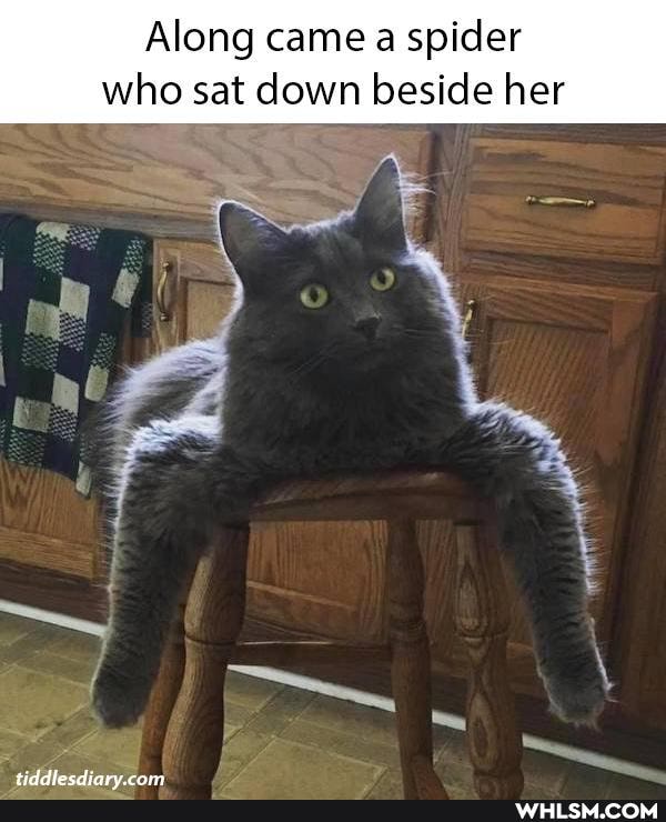 Along came a spider who sat down beside her