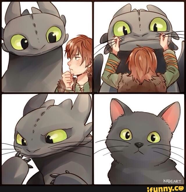 comotreinaroseudragão, gato