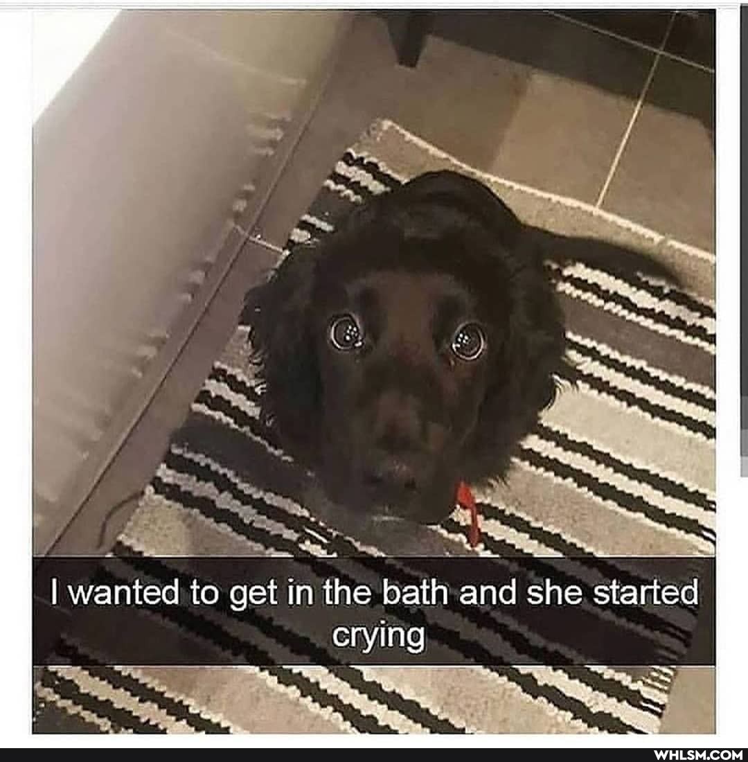 Al
if
I wanted to get in the bath and she started crying