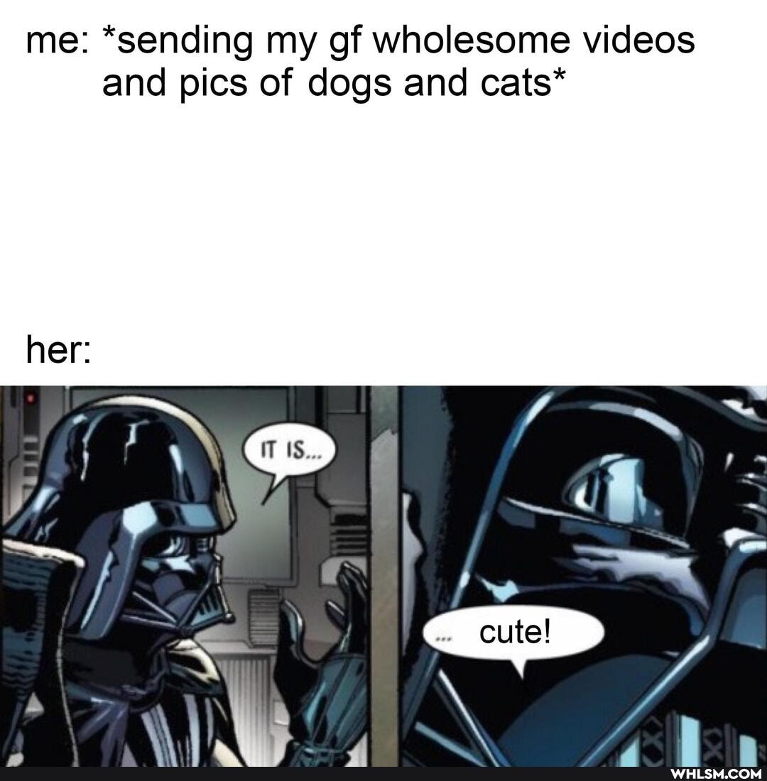 me: "sending my gf wholesome videos and pics of dogs and cats*
her: