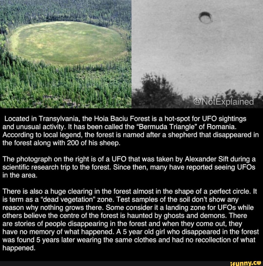 Located In Transylvania The Hoia Baciu Forest Is A Hot Spot For Ufo Sightings And Unusual Activity It Has Been Called The Bermuda Triangle Of Romania According To Local Legend The Forest Is