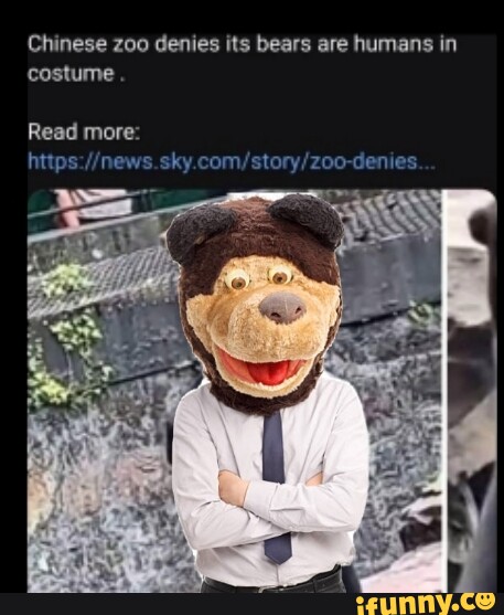 Chinese Zoo Denies Its Bears Are Humans In Costume Sky Zoo Den Es Read